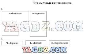 рабочая тетрадь по русскому языку 5 класс ладыженская ответы Urok Prezentaciya Vo 2 Klasse Po Teme Umnozhenie I Delenie Na 6 Po Fgos Train Your Brain Proxy Server Activities