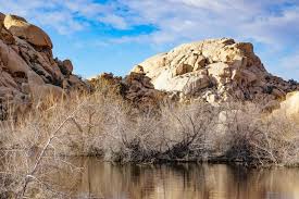Barker dam was built around 1900 by early cattle ranchers in the area. Hiking Joshua Tree Story Roadtripping California