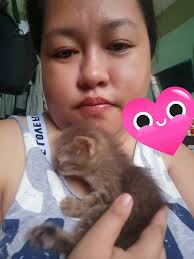 My lady rascal of a kitty She plays fetch u till our arms don't work,  steels all humans food and follows us about the house no matter what She's  a dimond, a