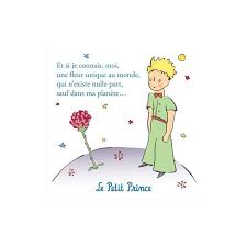 Discover A Wonderful Serie Of 9 Art Prints Representing The Original Artwork Of Saint Exupery You Little Prince Quotes Little Prince Quotes Rose Prince Quotes