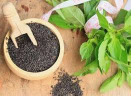 Dari bunga kemudian akan muncul biji basil (selasih). Cara Budidaya Biji Selasih Secara Lengkap