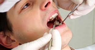 Nellie Crowder's Instagram, Twitter & Facebook