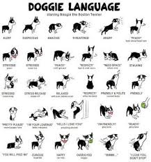 Road S End Papillons Phalenes Dog Language Dog Body Language Dog Language Dog Life Hacks