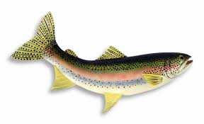Vintage rainbow 🌈 taxidermy mount fish on driftwood. Hand Painted Rainbow Trout Wall Mount Decor Plaque Game Fish Replica 18 Buy Online In Madagascar At Madagascar Desertcart Com Productid 11763030