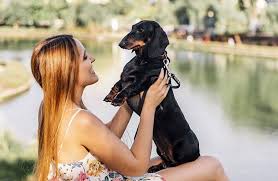 Pet transport service in kerala. Veterinary Care Center Pet Relocation Kannur