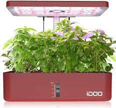 Read this post to learn all about how to grow kale indoors. Amazon Com Idoo Indoor Herb Garden Kit 12 Pods Hydroponics Growing System With Led Grow Light Window Herb Garden For Home Kitchen Air System Germination Kit Automatic Timer Height Adjustable Garden Outdoor