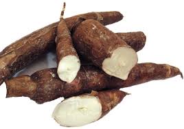 Casava Root