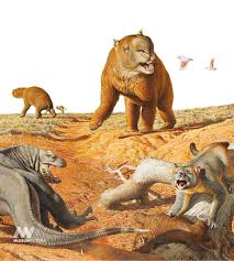 Diprotodon lived during the pleistocene epoch (2.6 million to 11,700 years ago) in australia and is a close relative of living wombats and koalas. 200 Diprotodon Ideas Megafauna Marsupial Extinction