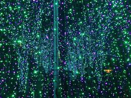 Atlanta Botanical Gardens Light Show Lights Everywhere Fantastic Atlanta Botanical Garden Light And Space Lights