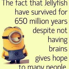 Stupid People Quotes And Sayings Quotesgram
