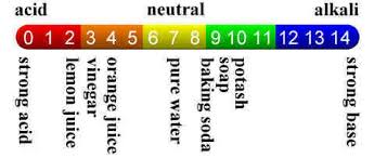 Understanding The Ph Scale And How It Relates To Your Hair