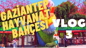 Kendi aracıyla gidecekler, hayvanat bahçesi, gaziantep üniversitesi'nin yanı başında bulunuyor. Gaziantep Hayvanat Bahcesi Giris Ucreti 2015 Turkeyinput