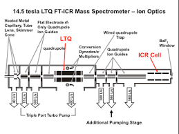An ionization chamber, a mass analyzer and a detector. Tandem Mass Spectrometry Ms Ms Maglab
