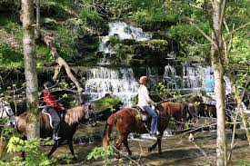Shaker Town Horse Trail Horse Camp Horse Trail Trail Riding