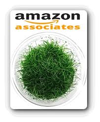 Hair Grass Planting Method On Mini Aquarium Tube | Carpet Seed - Youtube