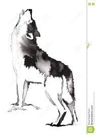 Learn how to draw a wolf dog, wolf dog hybrid, pets, animals, free step by step drawing lessons for kids, added by makangeni, march 11, 2013, 2:05:24 pm. Dynamic Black And White Wolf Drawing Dan Website