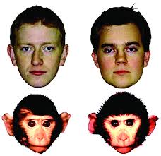 The Social Brain (Chapter Seven)