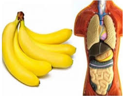 The Majority Of Us Nowadays Do Not Have The Time To Eat Healthily And Thus Opt For Fast Food Instead For A Healthy One Wh Health Healthy Eat For Your Health