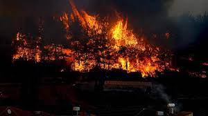 Karabük mahallesi beşkonak mevkiindeki ormanlık alanda saat 12.00 sıralarında yangın çıktı. Ctpeqjdcjllk9m