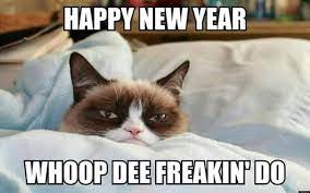 Happy New Year Grumpy Cat Grumpy Cat Quotes Grumpy Cat Humor Grumpy Cat