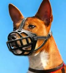 Details About Dog Muzzle Soft Flexible Basket Rubber For Dogs Large Size 4