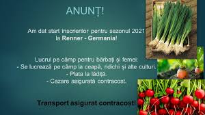 Din cautarile mele pe net. Panap Jobs Home Facebook