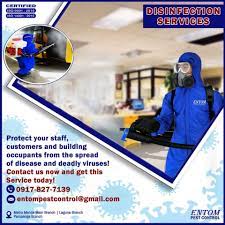 Mrspeedy is also the fastest courier service in philippines. Entom Pest Control Schadlingsbekampfung Las Pinas 318 Fotos Facebook
