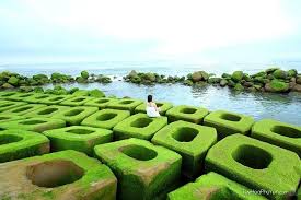 Rời thương trường, tỉ phú jack ma vẽ tranh, làm từ thiện. Say Ä'áº¯m Bá»©c Tranh Phu Yen Khi Thang 3 Vá» Mytour Vn