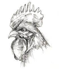 Pin On Ilga S Drawings