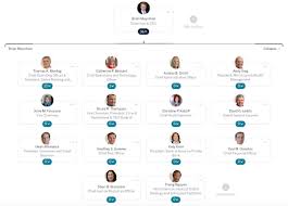 Who Reports To The Ceo The Org