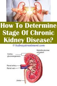 Best Useful Ideas Protein Restricted Diet For Kidney Disease Kidney Disease Dietary Guidelines Kidney Disease Chronic Kidney Disease Polycystic Kidney Disease