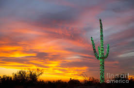 Polish your personal project or design with these christmas desserts transparent png images, make it even more personalized and more attractive. Christmas Suguaro In The Desert Photograph By Dave Les Jacobs