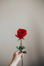Pin On Engagements