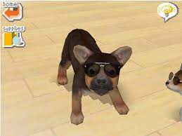 It asked whether i wanted to delete progress as usual. How To Earn Money And Trainer Points In Nintendogs 13 Steps