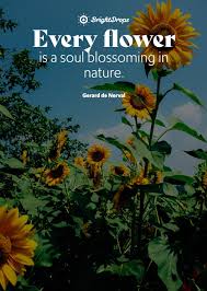 Maybe you would like to learn more about one of these? 105 Inspirational Nature Quotes On Life And Its Natural Beauty