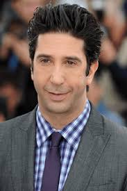 Born and raised in new york. David Schwimmer Tv Guide