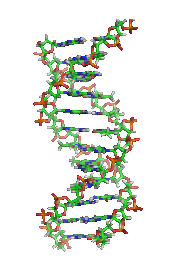 Biochemistry - Wikipedia