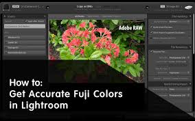 When you install them, they will automatically be usable in. So Erhalten Sie Genaue Fuji Farben In Lightroom