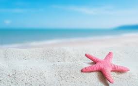 163 seraph of the end hd wallpapers and background images. Pink Starfish Photography Abstract Background Wallpapers On Desktop Nexus Image 2408364