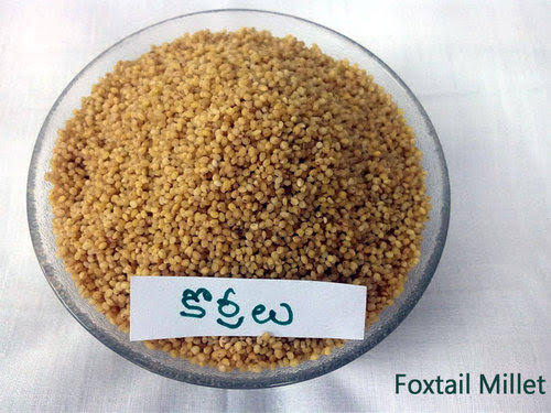 Korralu