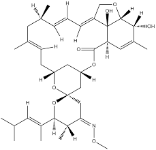 Image result for Moxidectin