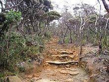 Maybe you would like to learn more about one of these? Mount Kinabalu Wikipedia