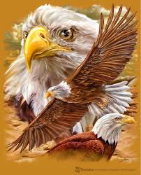 Pin By Binnaz D On Otters Moose Panthers Eagles Eagle Drawing Eagle Pictures Eagle Art