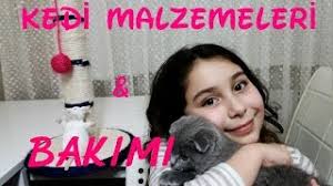 Kedi Malzemeleri Ve Bakimi Ile Ilgili Tum Bilgiler Youtube