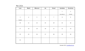De anul nou, angajaţii la stat beneficiază de o zi de odihnă, în data de 1 ianuarie. Calendar 2021 Leaveboard