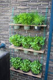 Hanging Garden Diy Patio Herb Garden Outdoor Herb Garden Balcony Herb Gardens