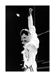 Freddie mercury would have been 70 this september and as part of the celebrations a mercury phoenix trust produced fan party will be held in his honour near lake geneva, montreux. Freddie Mercury Poster Freddie Mercury In Schwarz Weiss Desenio De