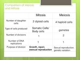 Be sure to follow our. Ppt Chapter 11 4 Meiosis Powerpoint Presentation Free Download Id 6783376