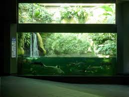 Hiermit bestätige ich, dass ich die datenschutzbestimmungen zur kenntnis genommen habe. File Zoo Berlin Aquarium Suedostasien Jpg Wikipedia