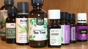 Image result for Essential Oils